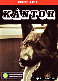 Кантор (1976)