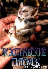 Экзотические питомцы (2014)