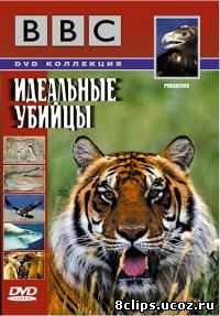 Идеальные убийцы (2000)