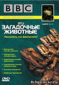 Эти загадочные животные (2002)