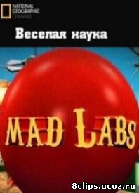 Веселая наука (2006)