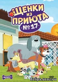 Щенки из приюта № 17 (2010)