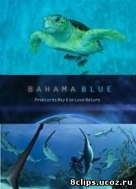 Голубые Багамы (2014)