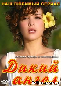 Дикий ангел (1998)