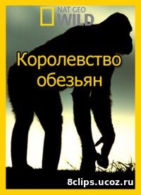 Королевство обезьян (2014)