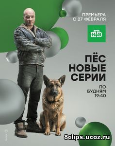 Пёс (2016) 2 сезон