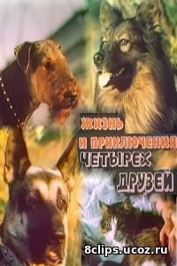 Жизнь и приключения четырех друзей (1980)