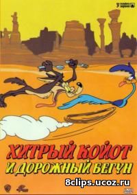 Веселые мелодии: Дорожный бегун и койот (2010)