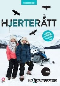 Холодное сердце (2013)
