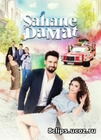 Замечательный зять (2016)