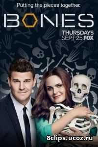 Кости (2017) 12 сезон