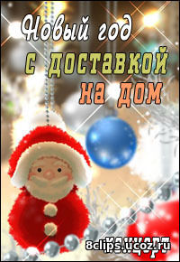 Новый год с доставкой на дом (2017)