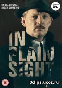 На виду (2017)