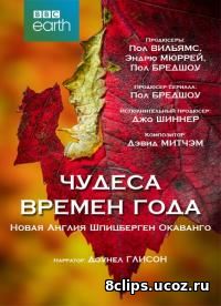 Чудеса времен года (2016)