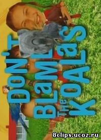 Коалы не виноваты (2002)