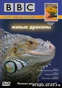 Живые драконы (2004)