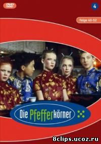 Детективы из табакерки 4 сезон (2004)