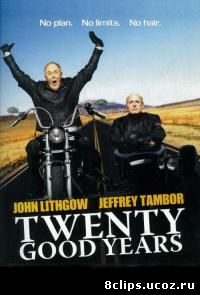 Двадцать славных лет (2006)
