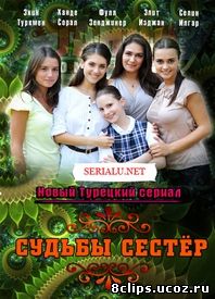 Судьбы сестер / Маленькие женщины (2008)