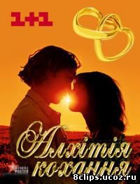 Алхимия любви (2011)