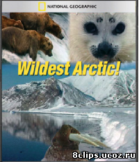 Дикая Арктика (2012)