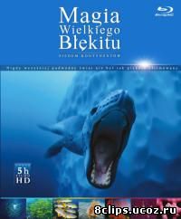 Чудеса голубой планеты. Семь континентов (2011)