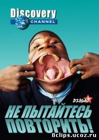 Не пытайтесь повторить! (2013)