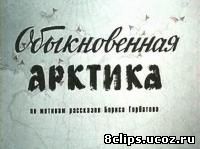 Обыкновенная Арктика (1976)