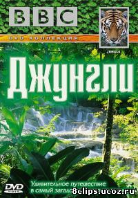 Джунгли (2003)