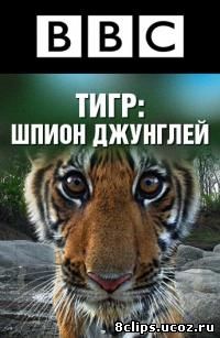 Тигр – Шпион джунглей (2008)
