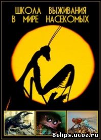 Школа выживания в мире насекомых (2008)