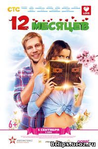 12 месяцев (2013)