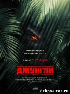 Джунгли (2013)