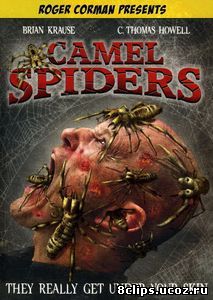 Верблюжьи пауки (2011)