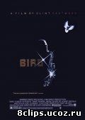 Птица (1988)