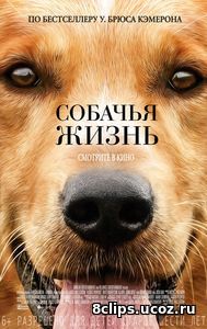 Собачья жизнь (2017)