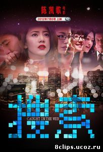 Пойманные в сеть (2012)