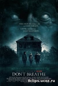 Человек в темноте (2016)