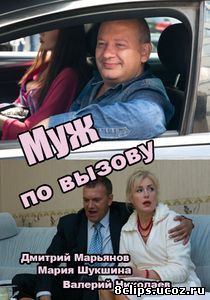 Муж по вызову (2015)