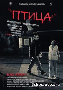 Птица (2017)