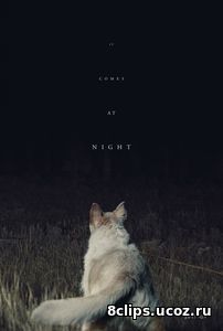 Оно приходит ночью (2017)