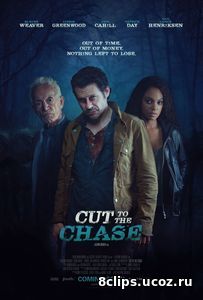 В поисках истины (2016)