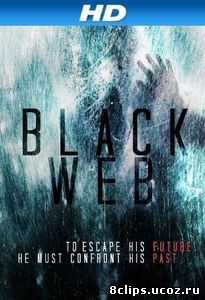 Чёрная паутина (2012)