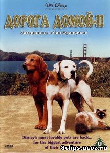 Дорога домой 2: Затерянные в Сан-Франциско (1996)