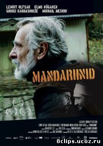 Мандарины (2013)