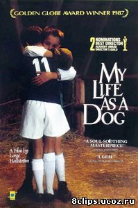 Моя собачья жизнь (1985)