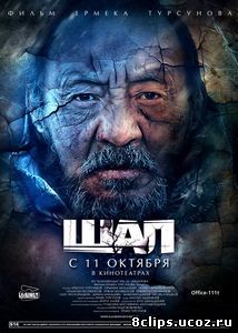 Старик (2012)