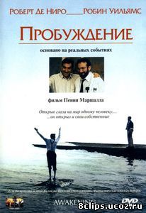 Пробуждение (1990)