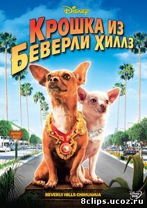 Крошка из Беверли-Хиллз (2008)