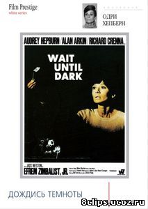 Дождись темноты (1967)